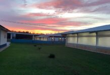 BB e FutureCarbon destravam créditos de carbono no agronegócio