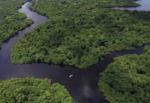 Future Climate e Aon dão forma a melhores decisões para o setor privado no mercado voluntário de carbono