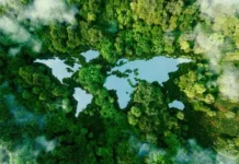A Future Climate quer financiar a descarbonização no Brasil. E abre operações no Oriente Médio e na Ásia